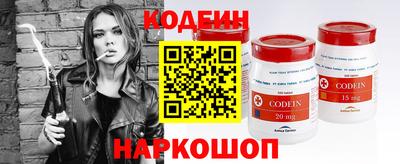 СК Кингисепп