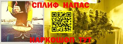 СК Кингисепп