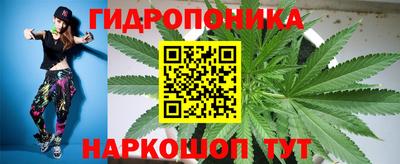 СК Кингисепп