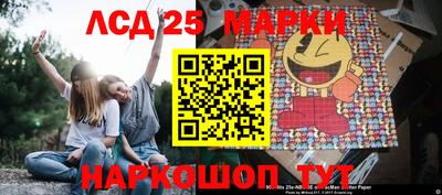 СК Кингисепп