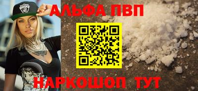 СК Кингисепп