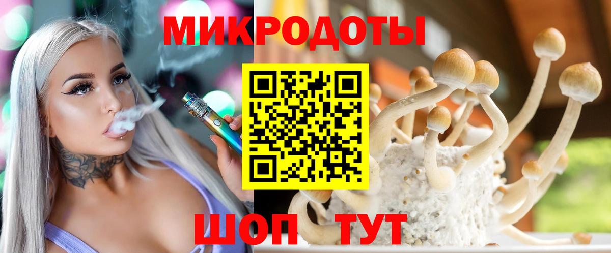 Псилоцибиновые грибы мицелий Магнитогорск